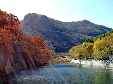 新澳门期期准精准，山魈